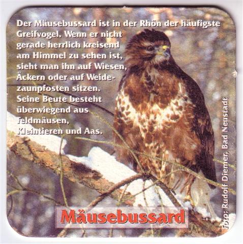 hausen nes-by rother greif 3b (quad180-musebussard)
